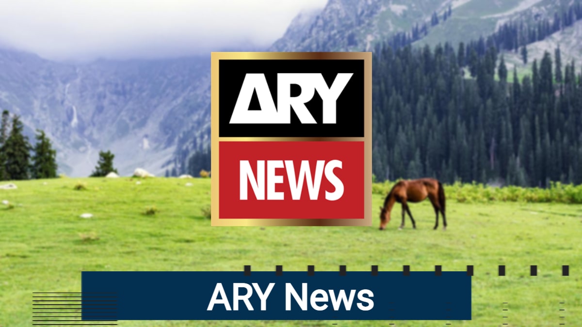 Ary News