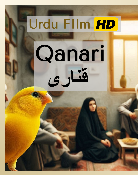 Qanari